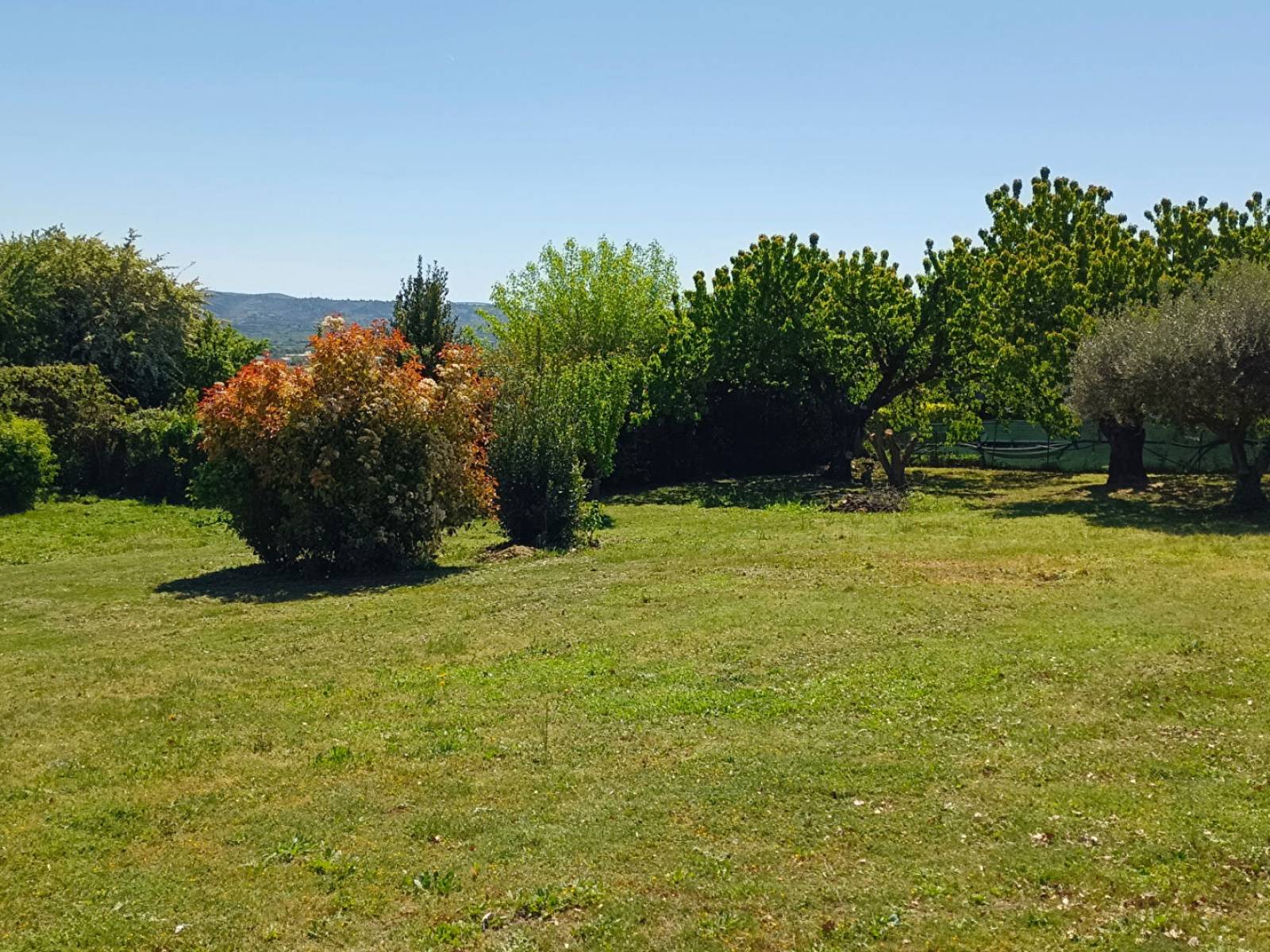 PIERREVERT (04) BEAU TERRAIN 1200 m² A BATIR HORS LOTISSEMENT