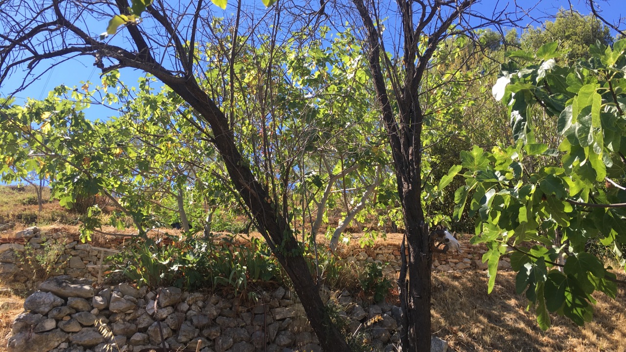 Maison T4 Les Hauteurs de l'Estaque Excellent état, estimation, prix au M2, expertise