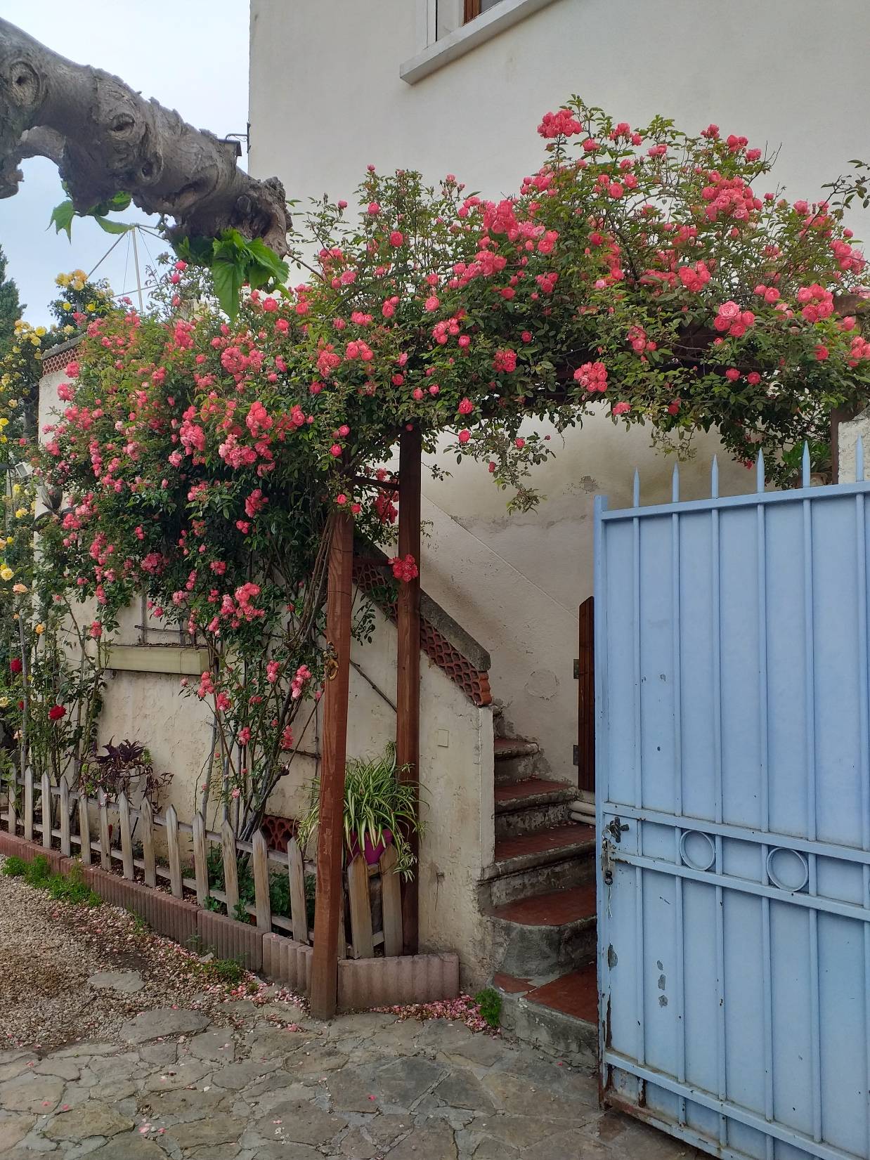 SAINT-ANDRE 16EME. Appartement 1er étage de maison. Terrasse. Jardin. Parking.